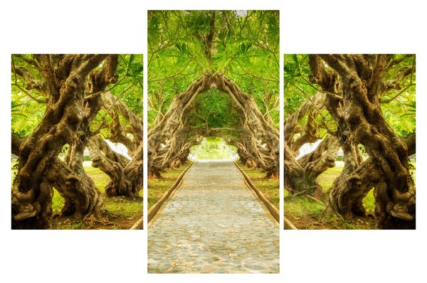 Tablou - Tunel viu din plumeria (90x60 cm)