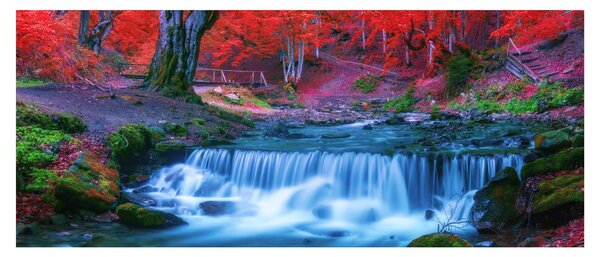Tablou - Cascada în pădurea roșie (120x50 cm)