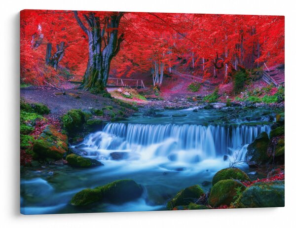 Tablou - Cascada în pădurea roșie (70x50 cm)