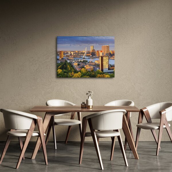 Tablou - Panorama Rotterdamului, Țările de Jos (70x50 cm)