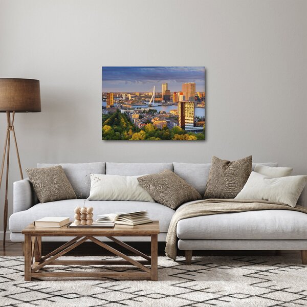 Tablou - Panorama Rotterdamului, Țările de Jos (70x50 cm)
