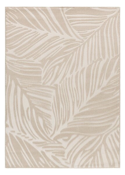 Covor crem 80x150 cm Sensation – Universal