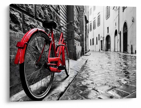 Tablou - Bicicleta roșie pe o stradă pavată (70x50 cm)