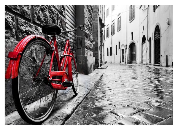 Tablou - Bicicleta roșie pe o stradă pavată (70x50 cm)