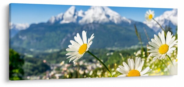 Tablou - Primăvara în Alpi (120x50 cm)