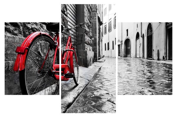 Tablou - Bicicleta roșie pe o stradă pavată (90x60 cm)