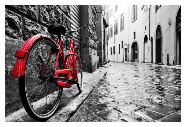 Tablou - Bicicleta roșie pe o stradă pavată (90x60 cm)