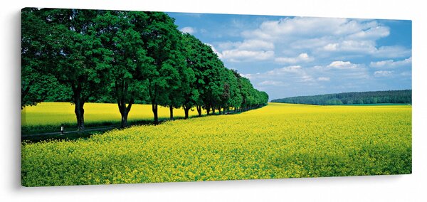 Tablou - Câmp cu alei (120x50 cm)