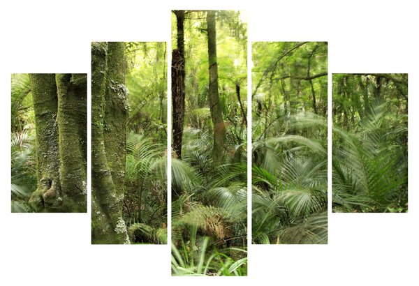 Tablou - Pădure tropicală (150x105 cm)