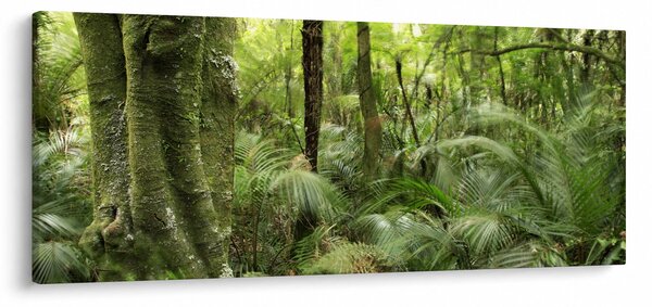 Tablou - Pădure tropicală (120x50 cm)