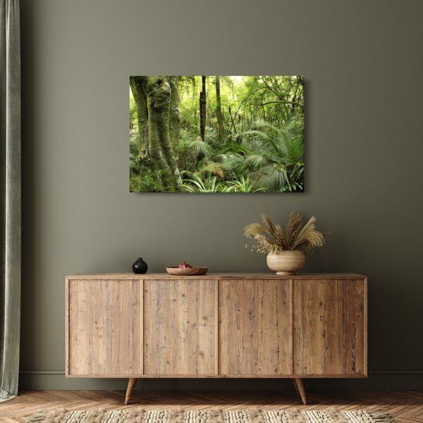 Tablou - Pădure tropicală (90x60 cm)