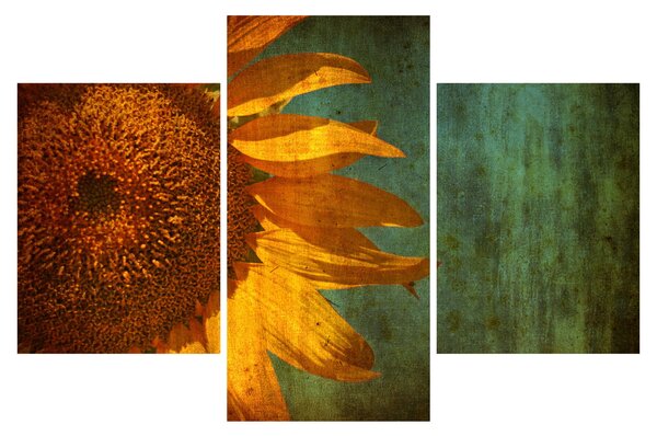 Tablou - Floarea soarelui (90x60 cm)