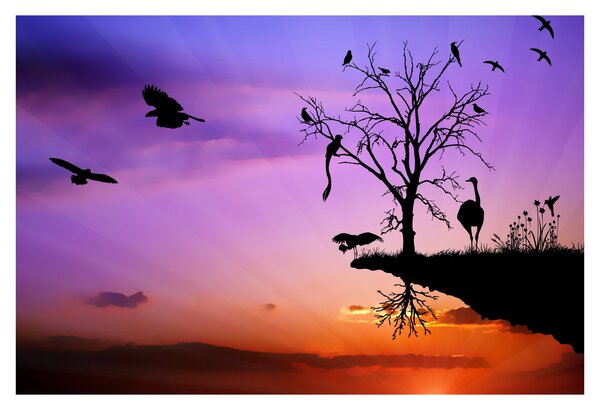 Tablou - Siluetele animalelor (90x60 cm)