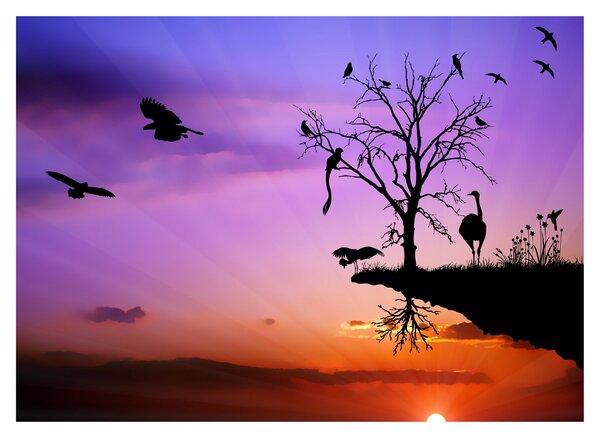 Tablou - Siluetele animalelor (70x50 cm)