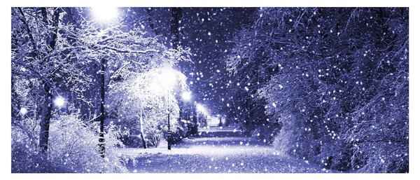 Tablou - Noaptea magică de iarnă (120x50 cm)