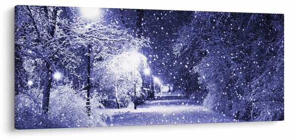 Tablou - Noaptea magică de iarnă (120x50 cm)