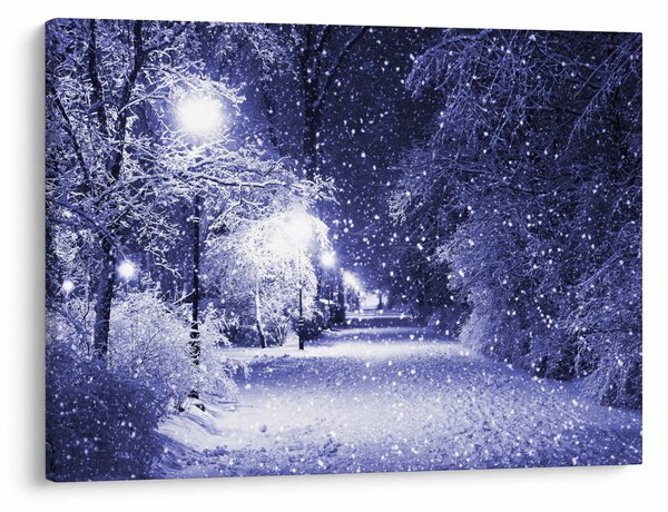 Tablou - Noaptea magică de iarnă (70x50 cm)