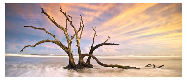 Tablou - Copacul în ocean (120x50 cm)