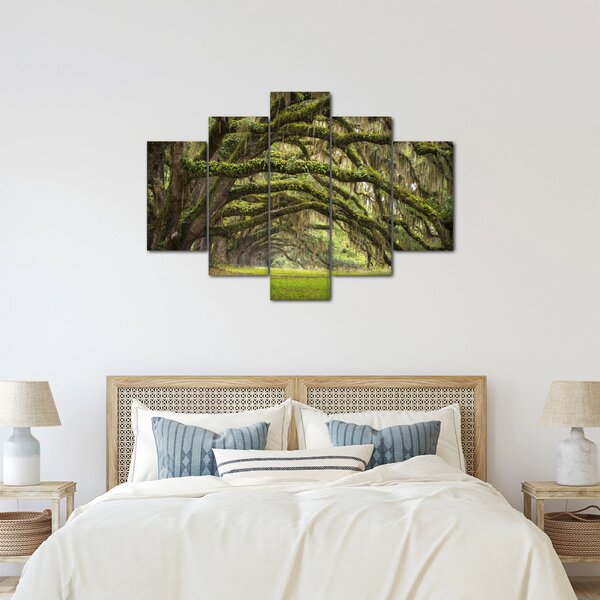 Tablou - Oaks Avenue, Charleston, Carolina de Sud, SUA (150x105 cm)