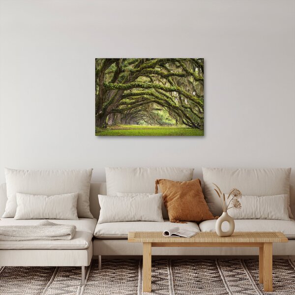 Tablou - Oaks Avenue, Charleston, Carolina de Sud, SUA (70x50 cm)