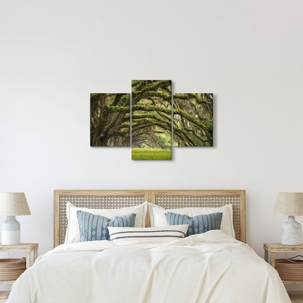 Tablou - Oaks Avenue, Charleston, Carolina de Sud, SUA (90x60 cm)