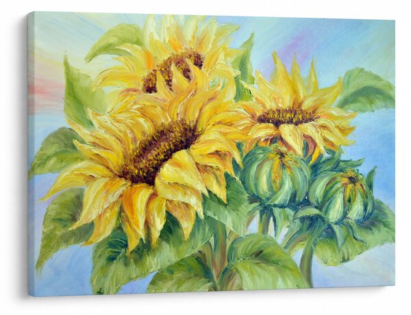 Tablou - Floarea soarelui înflorită (70x50 cm)