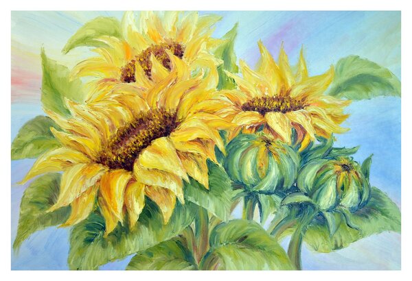 Tablou - Floarea soarelui înflorită (90x60 cm)