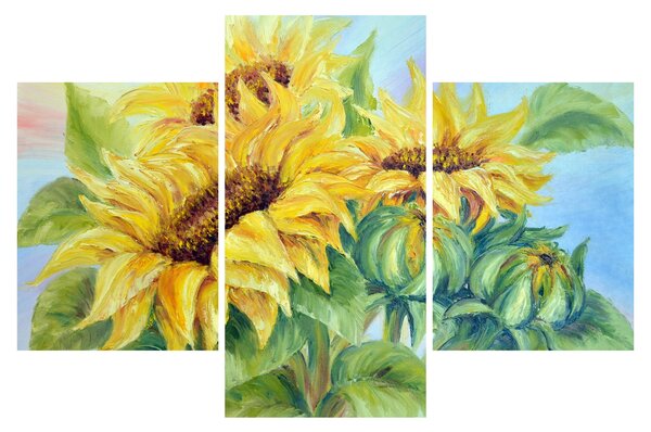 Tablou - Floarea soarelui înflorită (90x60 cm)