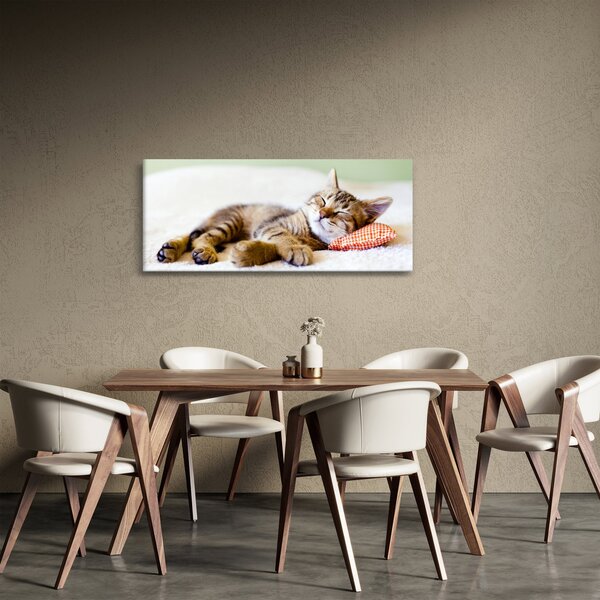 Tablou - Pisicuța adormită (120x50 cm)