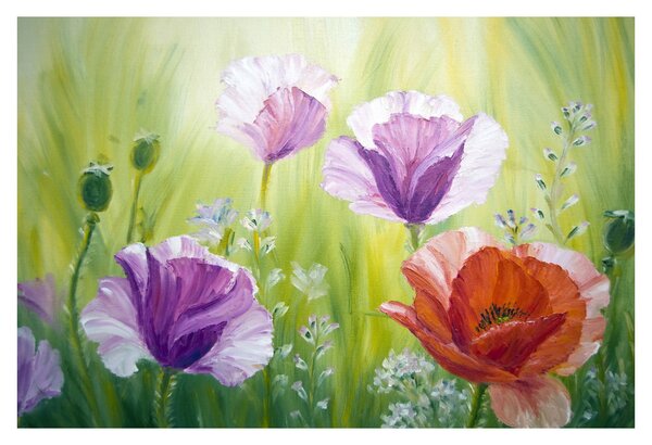 Tablou - Maci (90x60 cm)