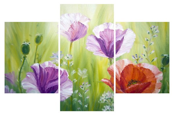 Tablou - Maci (90x60 cm)