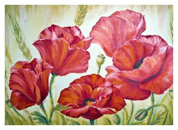 Tablou - Mac - flori (70x50 cm)