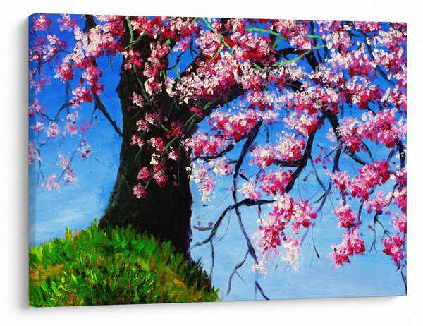 Tablou - Cireș înflorit - pictură (70x50 cm)