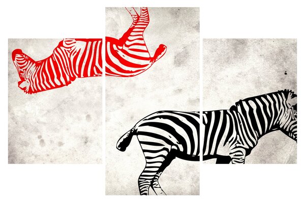 Tablou - Zebre (90x60 cm)