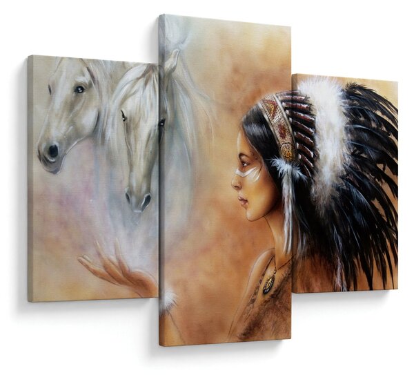 Tablou - Farmecele indienilor (90x60 cm)