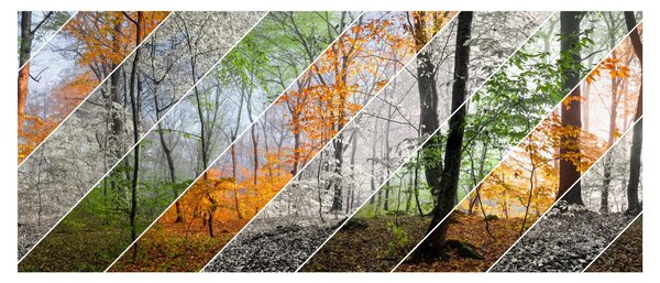 Tablou - Schimbarea anotimpurilor (120x50 cm)