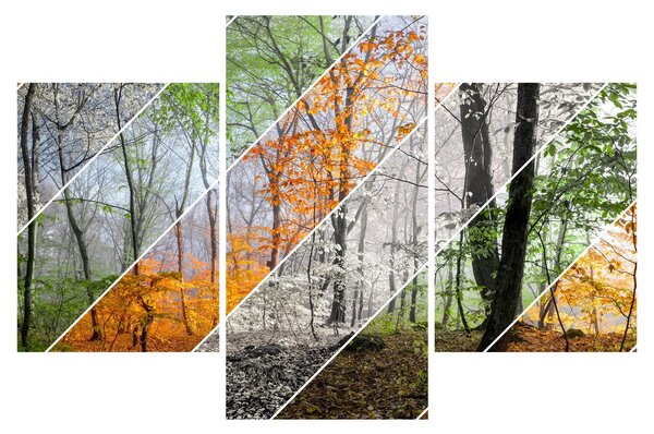 Tablou - Schimbarea anotimpurilor (90x60 cm)