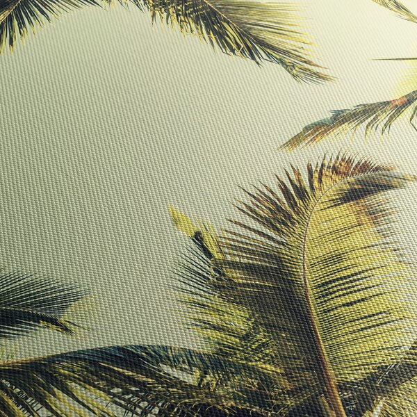 Tablou - Palmieri de cocos (90x60 cm)
