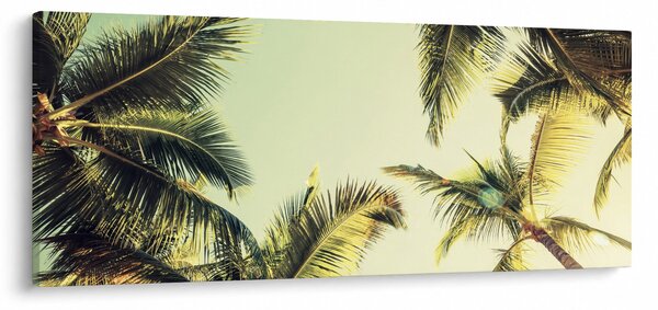 Tablou - Palmieri de cocos (120x50 cm)