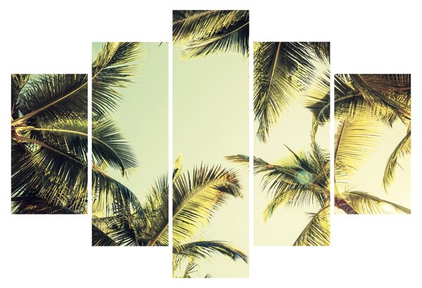 Tablou - Palmieri de cocos (150x105 cm)