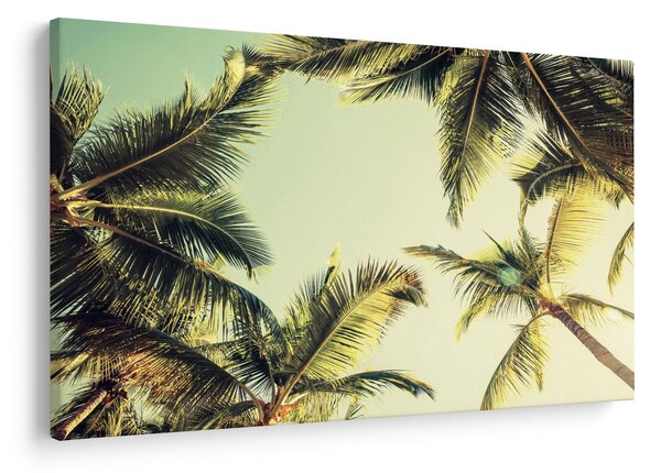 Tablou - Palmieri de cocos (90x60 cm)
