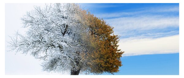 Tablou - Schimbarea anotimpurilor (120x50 cm)