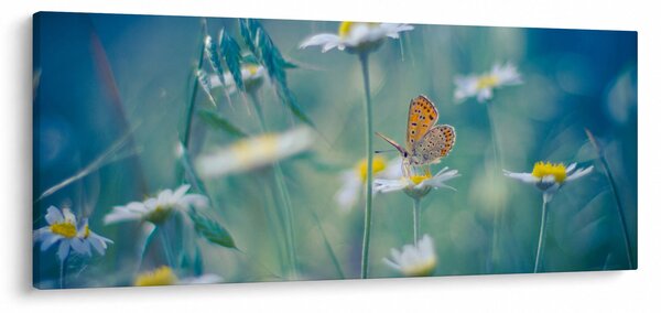 Tablou - Fluture pe margaretă (120x50 cm)