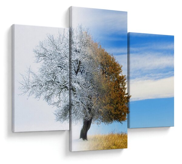Tablou - Schimbarea anotimpurilor (90x60 cm)