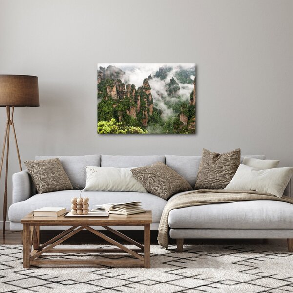 Tablou - Parcul Național Zhangjiajie, China (70x50 cm)