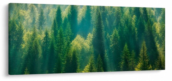 Tablou - Pădurea de brazi (120x50 cm)