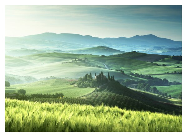 Tablou - Toscana, Italia (70x50 cm)