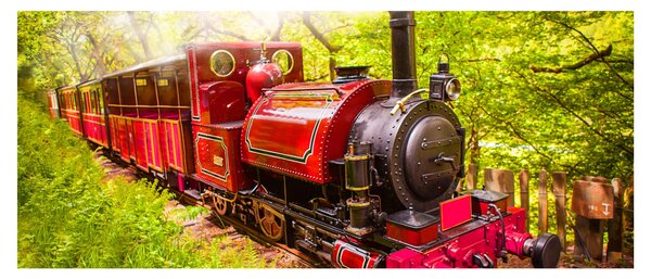 Tablou - Tren cu aburi (120x50 cm)