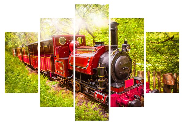 Tablou - Tren cu aburi (150x105 cm)