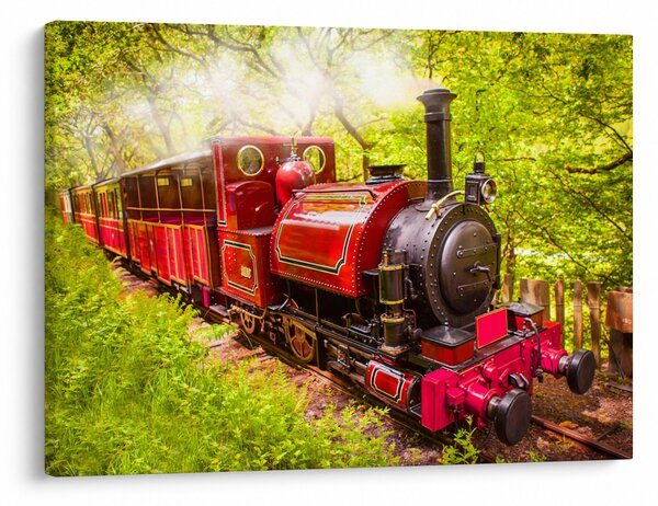 Tablou - Tren cu aburi (70x50 cm)
